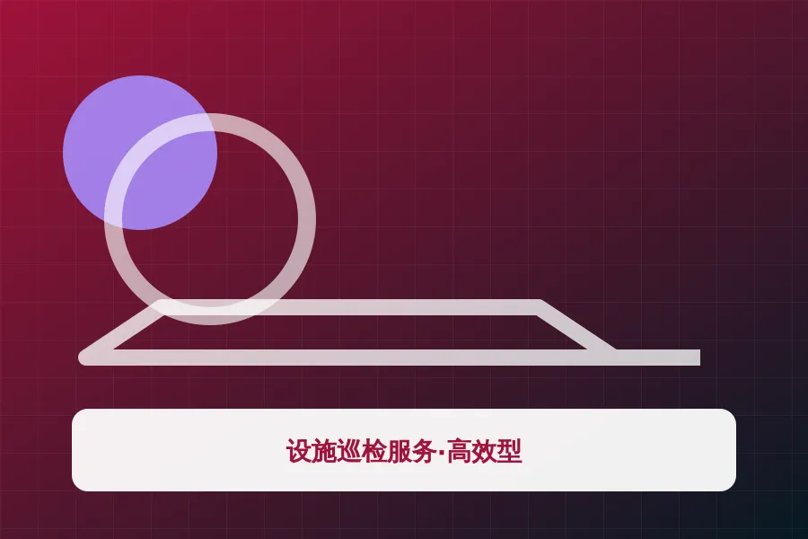 设施巡检服务·高效型应用示意图